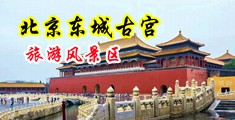 操我用力对白三级片视频中国北京-东城古宫旅游风景区